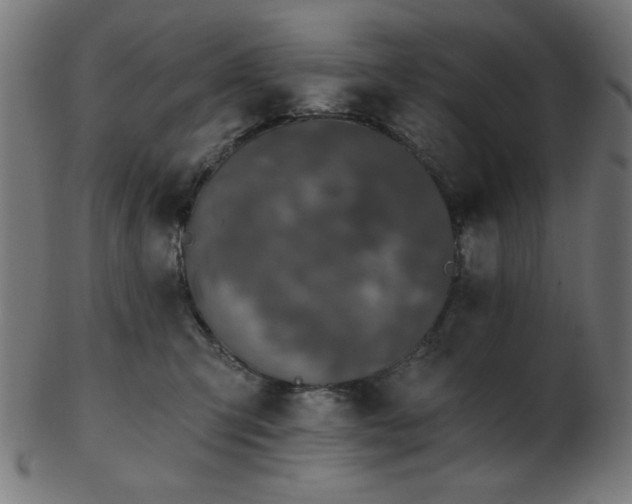 X0000103470423200809121632