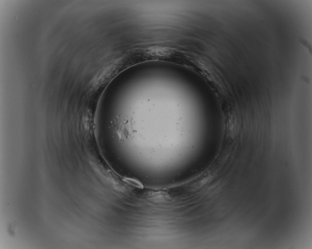 X0000103470424200809121632