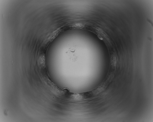 X0000103470425200809121632