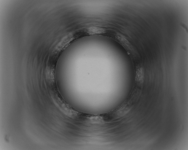 X0000103470426200809121632