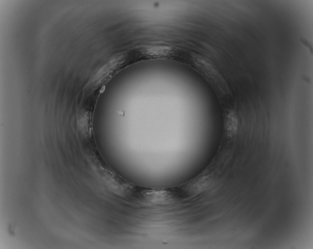 X0000103470428200809121632