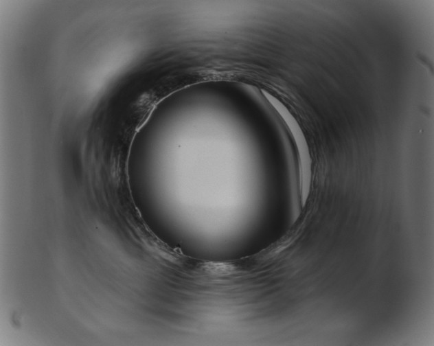 X0000103470429200809121632