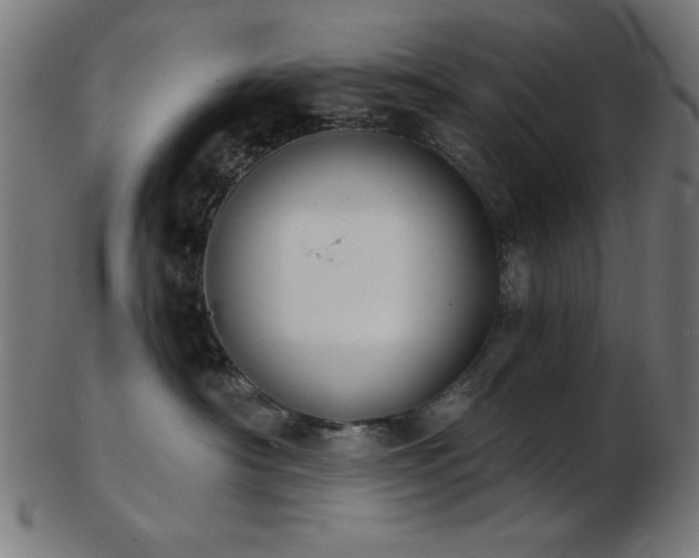 X0000103470430200809121632