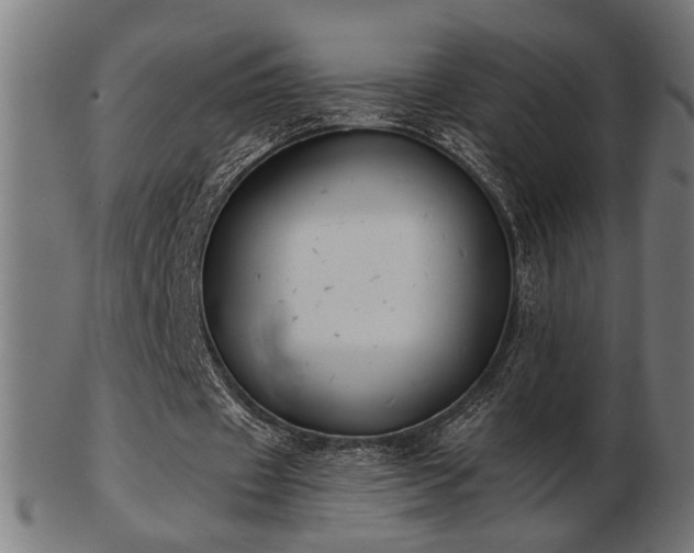 X0000103470433200809121631