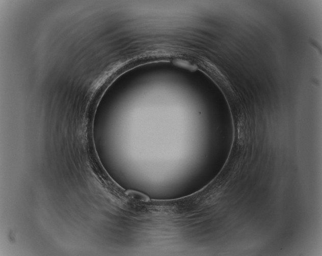 X0000103470436200809121631