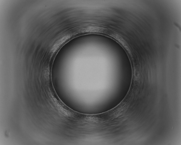 X0000103470437200809121631