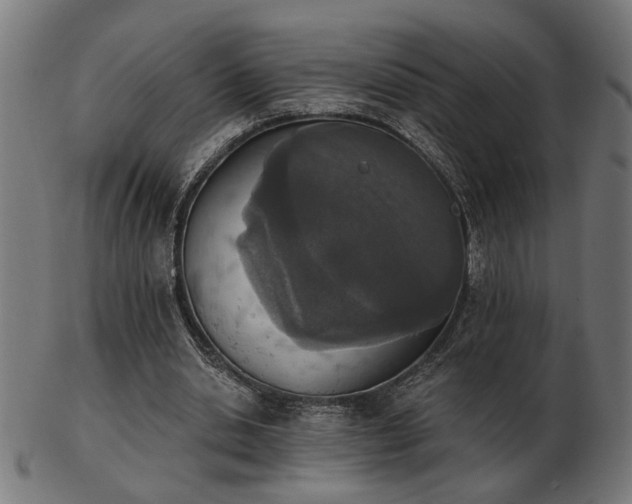 X0000103470438200809121631