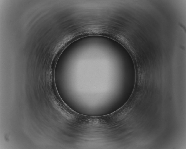 X0000103470439200809121631