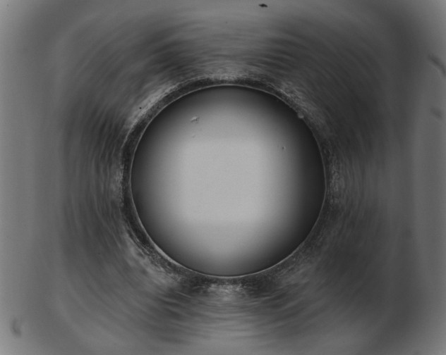 X0000103470440200809121631