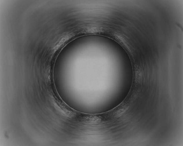 X0000103470443200809121631