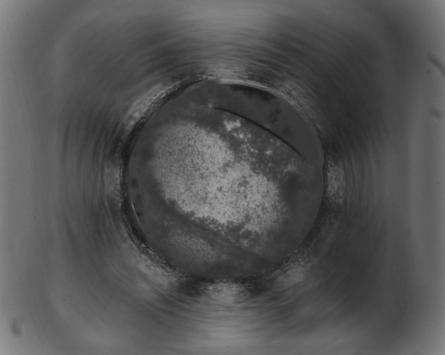 X0000103470444200809121631