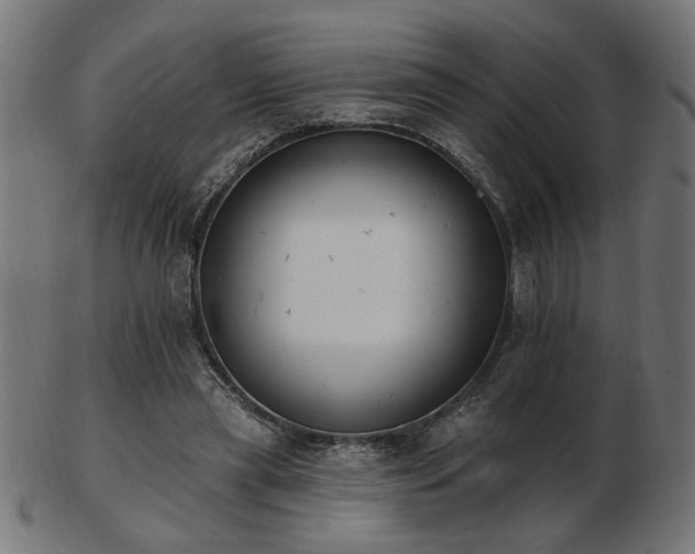 X0000103470445200809121631