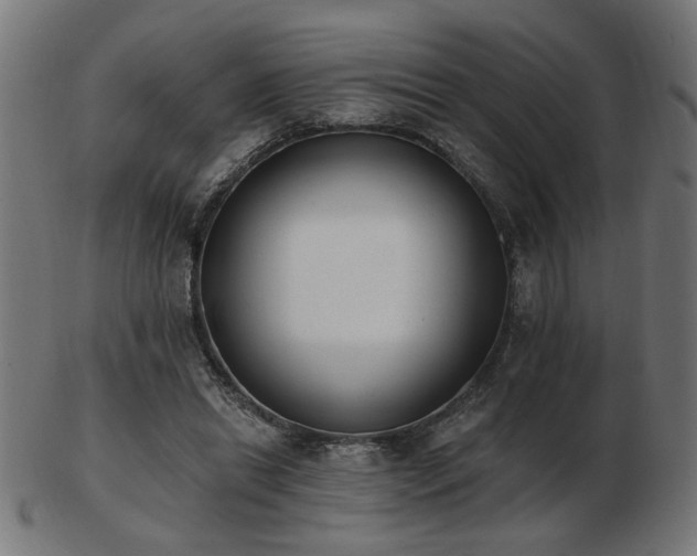 X0000103470446200809121631