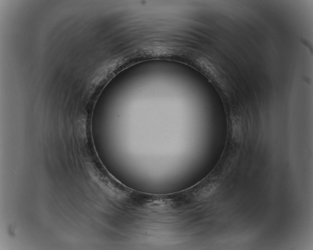 X0000103470447200809121631