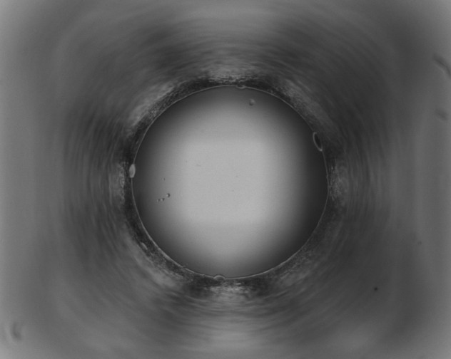 X0000103470448200809121632