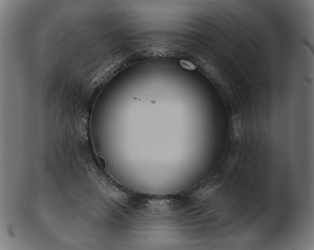 X0000103470450200809121632