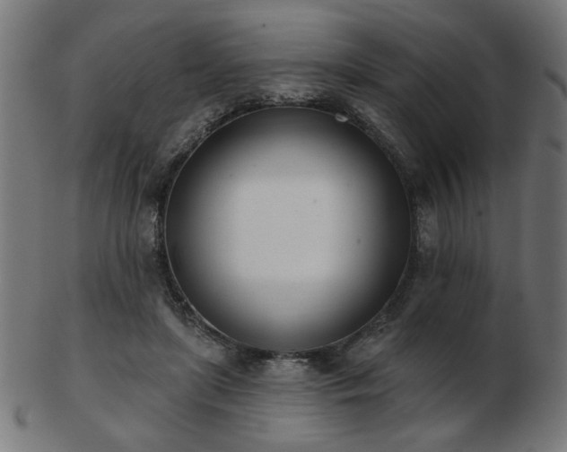 X0000103470451200809121632