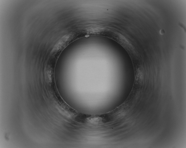 X0000103470452200809121632