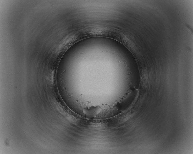 X0000103470454200809121632