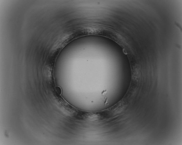 X0000103470456200809121632