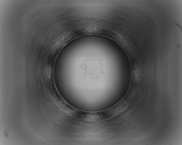 X0000103470458200809121632