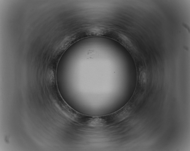 X0000103470459200809121632