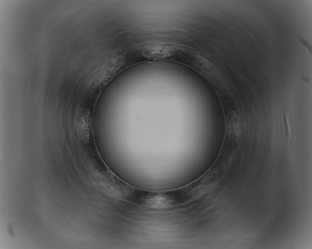 X0000103470460200809121632