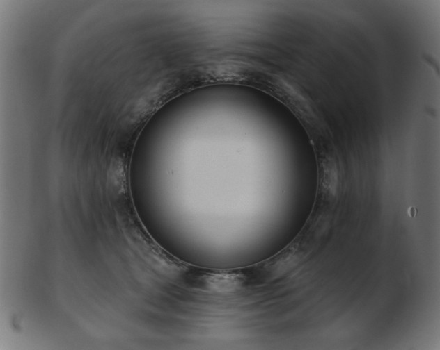 X0000103470465200809121632