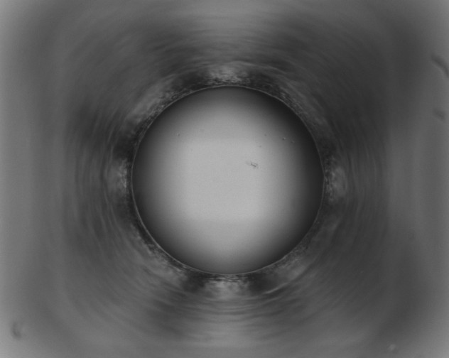 X0000103470466200809121632