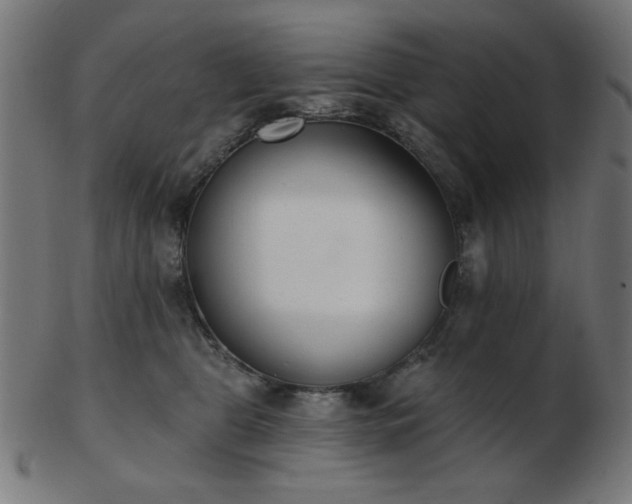 X0000103470469200809121632