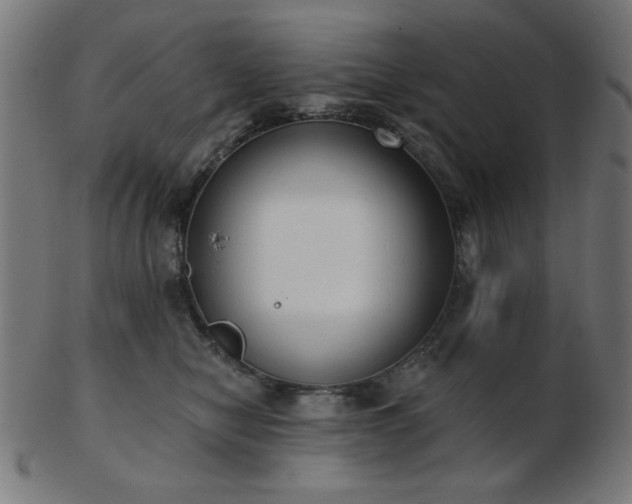 X0000103470470200809121632