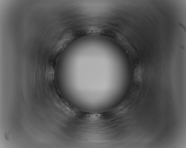 X0000103470474200809121632