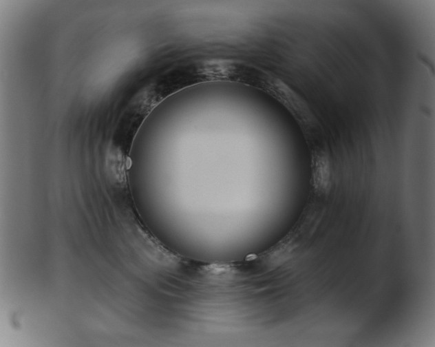 X0000103470477200809121632