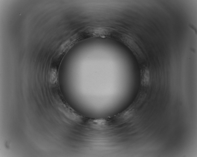 X0000103470478200809121632