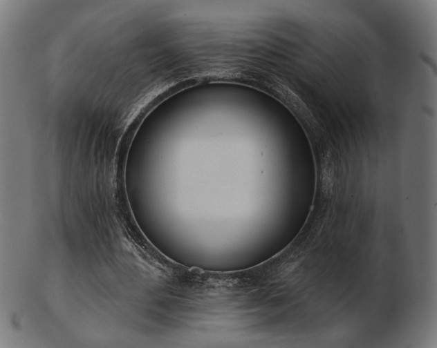 X0000103470484200809121631