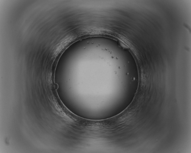 X0000103470485200809121631