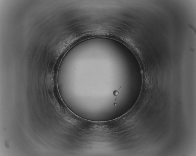 X0000103470487200809121631