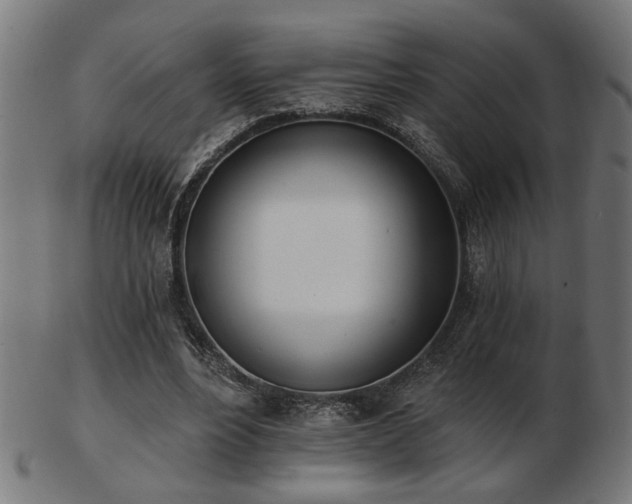 X0000103470488200809121631