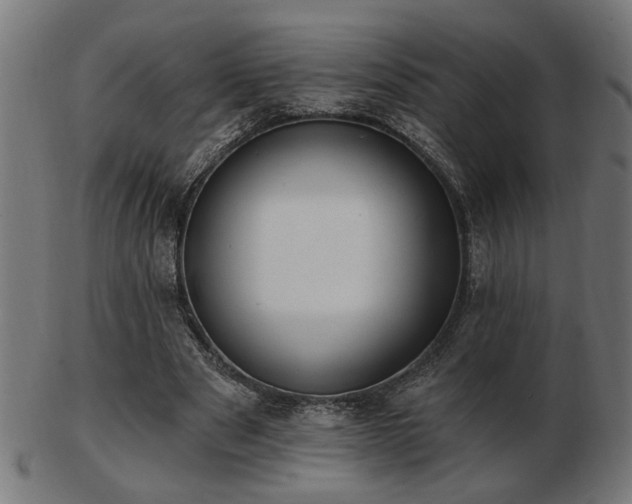 X0000103470489200809121631