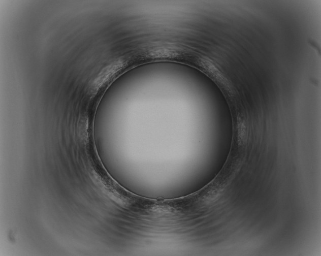 X0000103470490200809121631