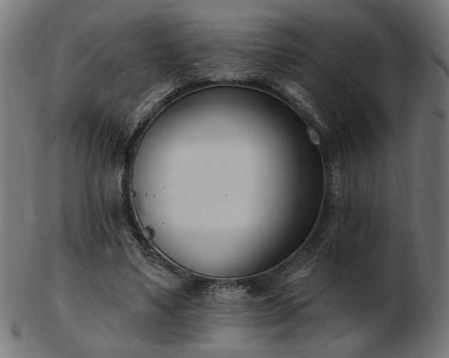 X0000103470491200809121631