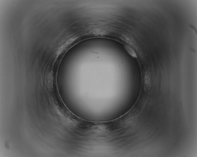 X0000103470492200809121631