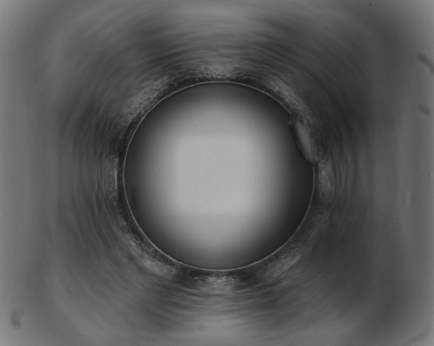 X0000103470493200809121631