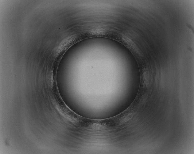 X0000103470494200809121631