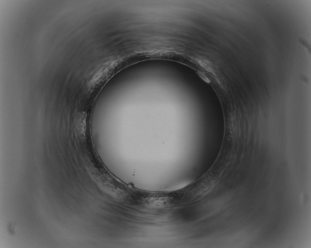 X0000103470495200809121631