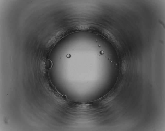 X0000103470497200809121631