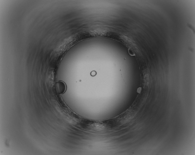 X0000103470498200809121631