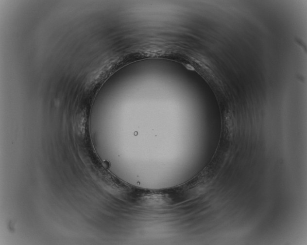 X0000103470499200809121631