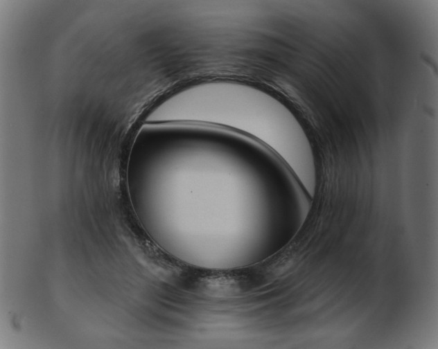 X0000103470500200809121631