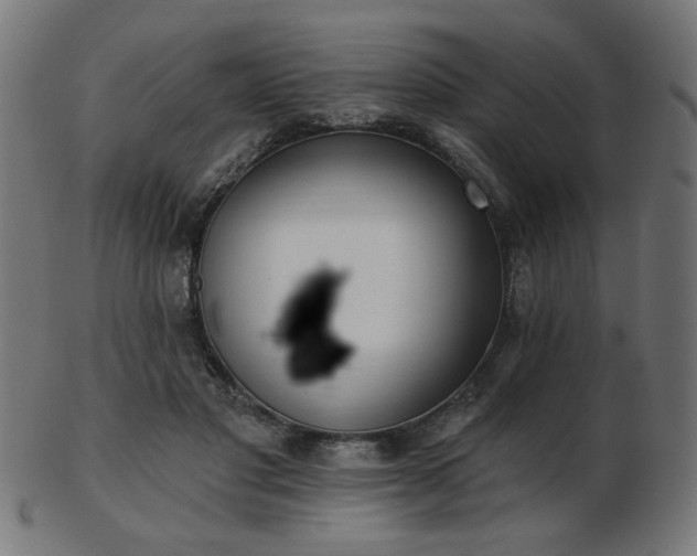 X0000103470501200809121631